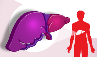 Afecțiuni hepatice bilirubină